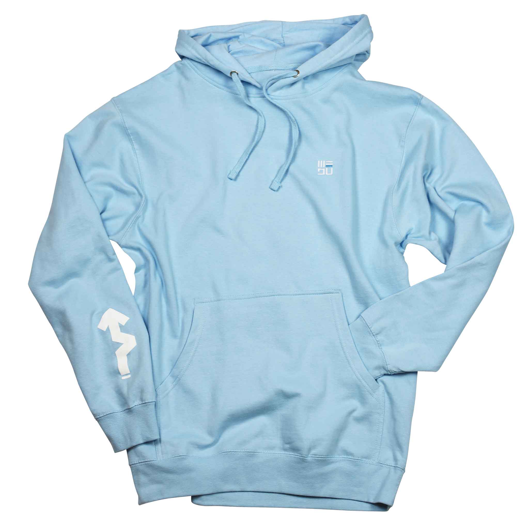 Champion reverse weave light blue online hoodie